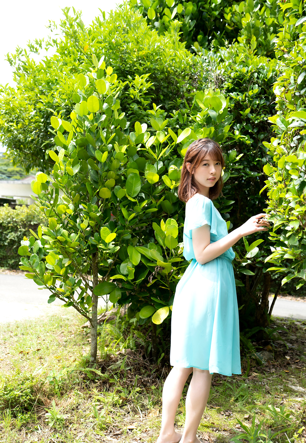 葵玲奈第991張寫真
