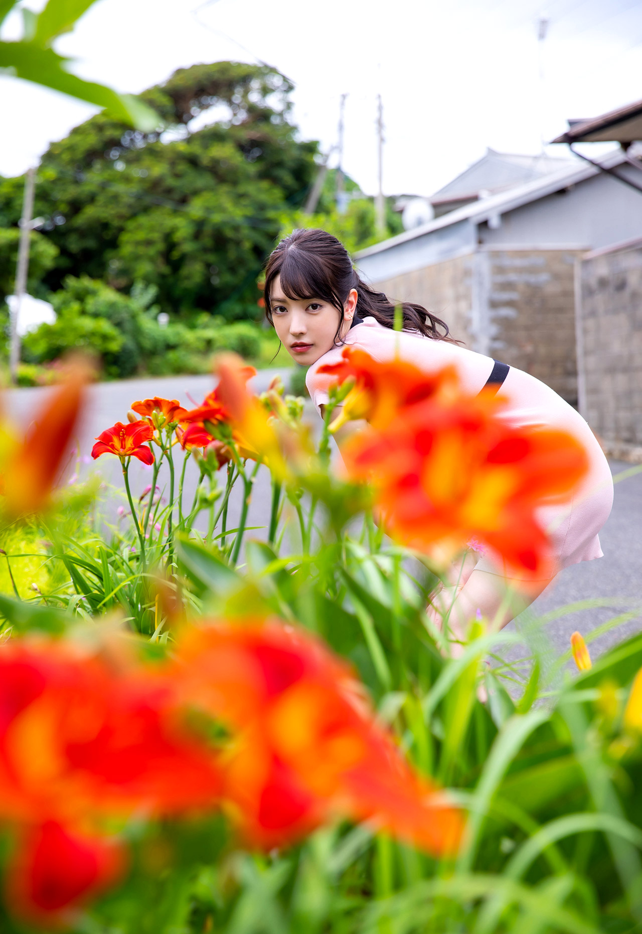 楓花戀第218張寫真