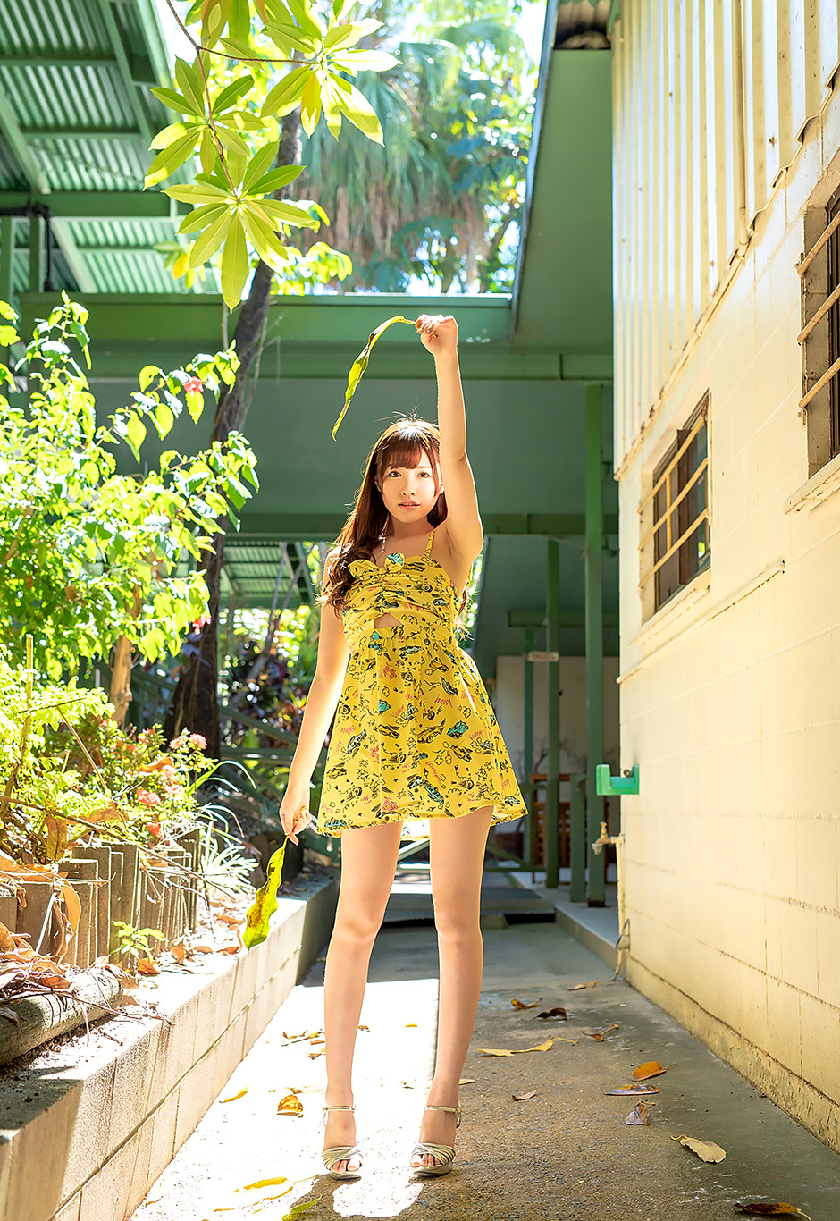 新有菜第632張寫真
