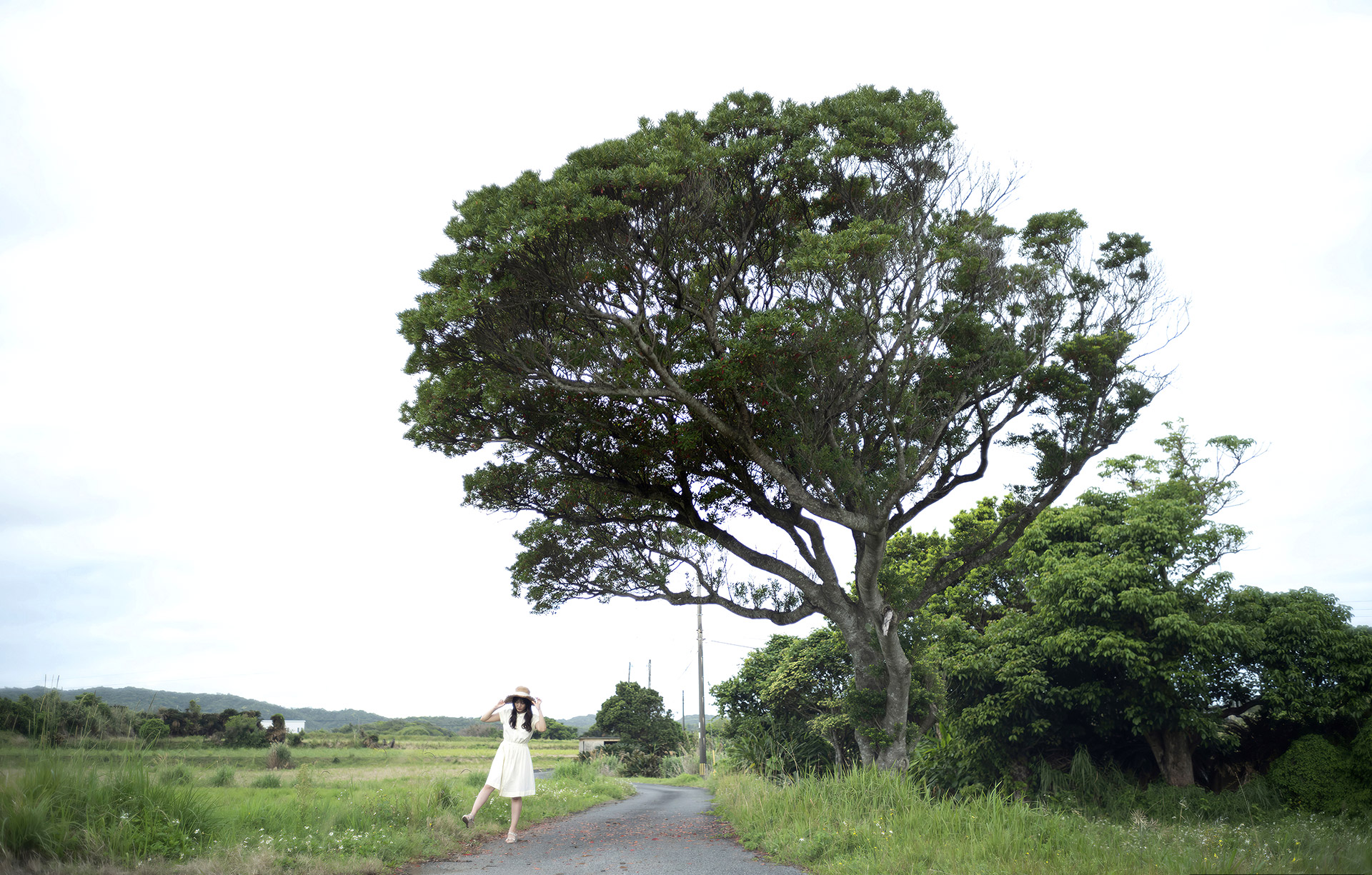 神宫寺奈緒第42張寫真