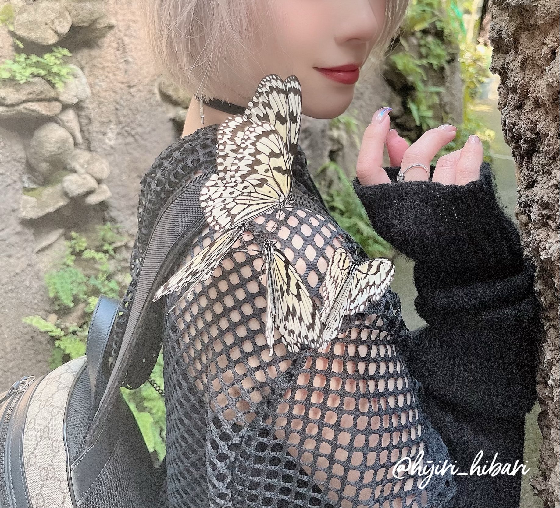 聖妃羽里第34張寫真