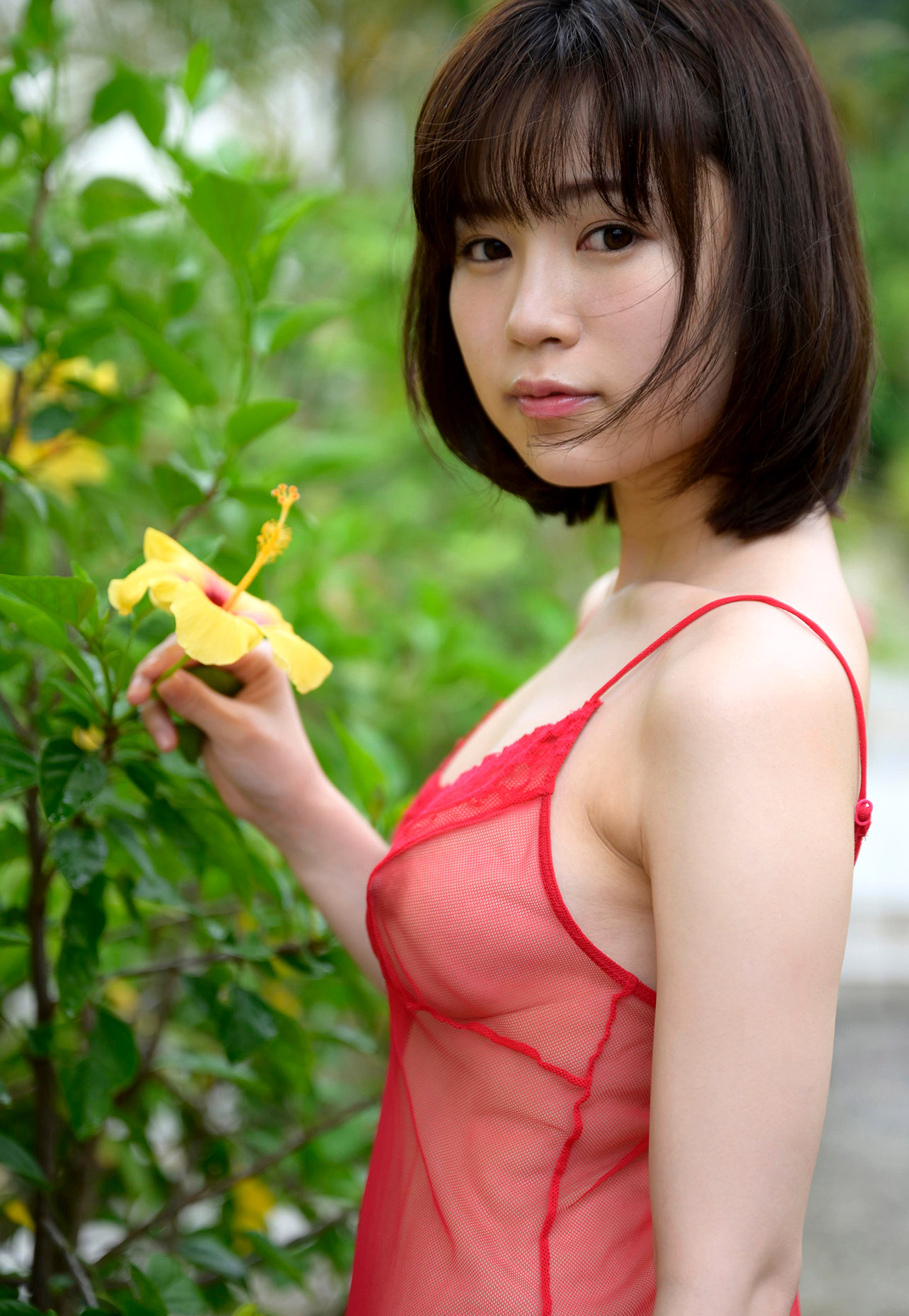 天宮花南第3張寫真