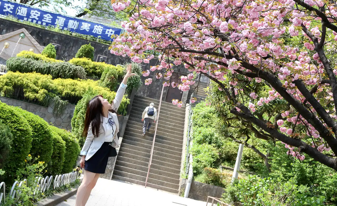 宫泽千春第38張寫真