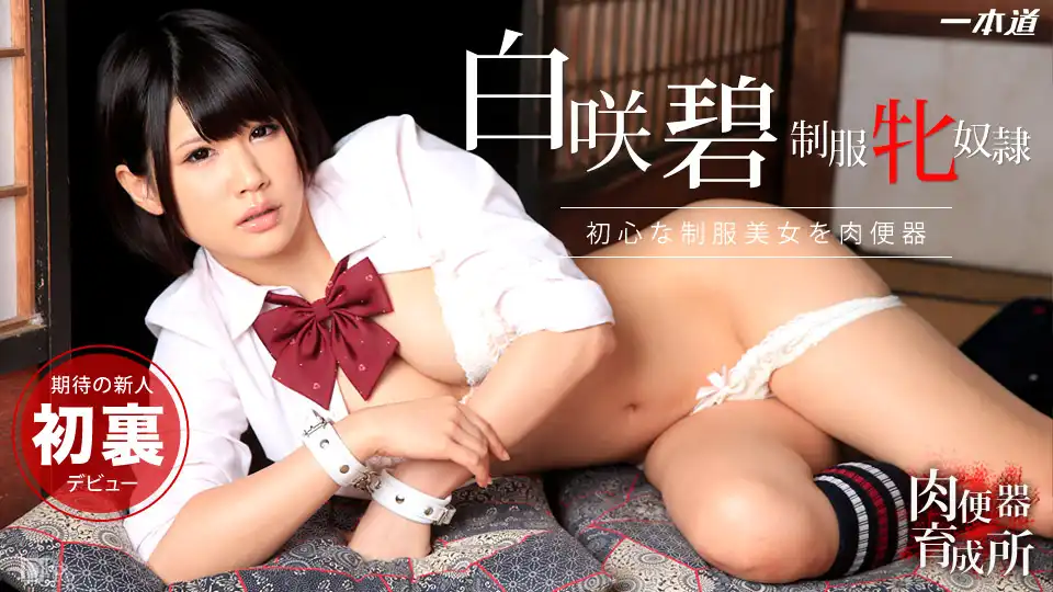 白咲碧第162張寫真