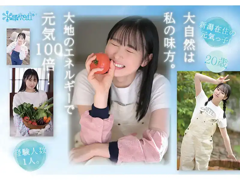 CAWD-699 新人！Kawaii首次亮相農村女孩川上しずく，充滿活力的農村女孩 AV 首次亮相的劇照1