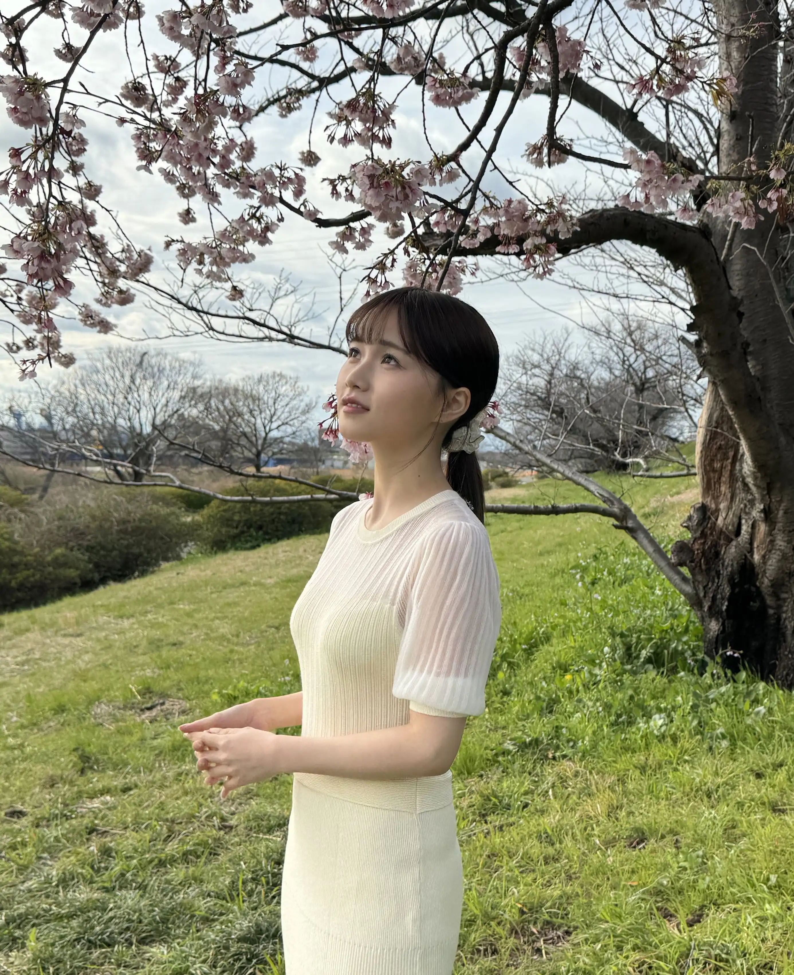 泉百華第10張寫真