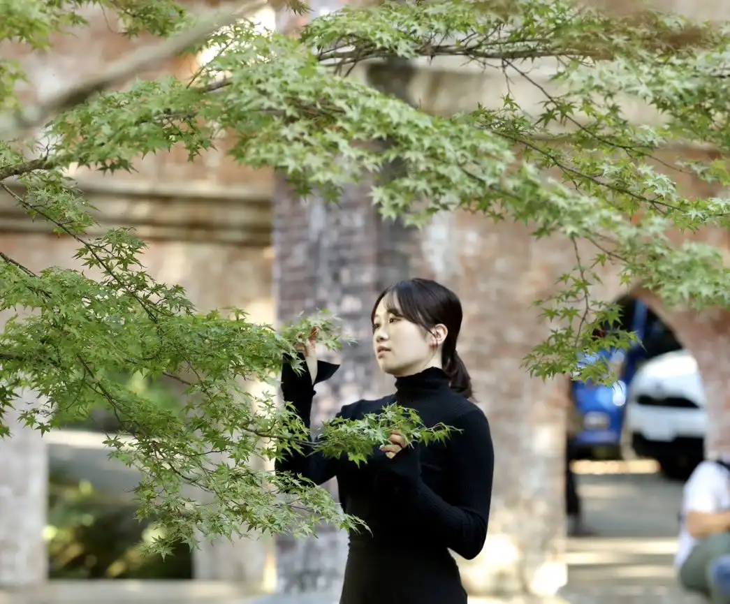 宝川莉子第2張寫真