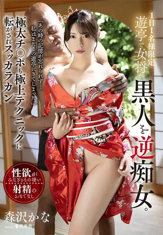 MIBB-050 每天僅限1人，女主是出名的蕩婦。就算最粗的雞巴也能被她夾的卷起 ~ 森澤佳奈的劇照19