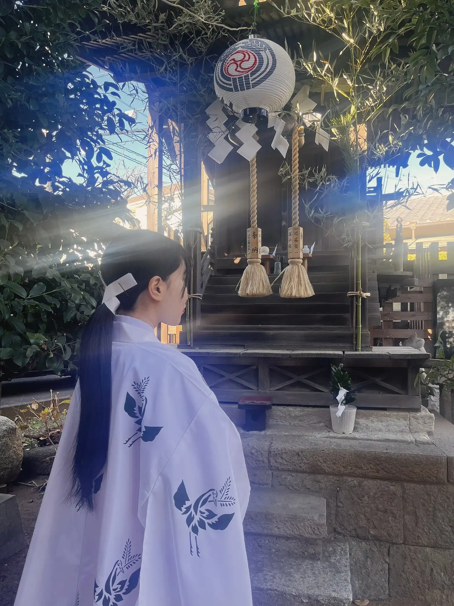 百合園美織第64張寫真