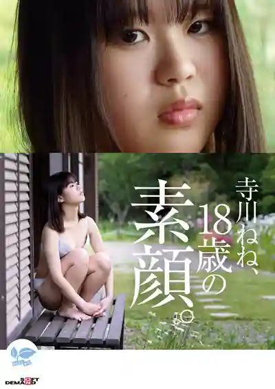 SDAB-340 新人出道！【18歲AV初體驗】眼神迷離的小只馬蘿莉超想被幹，每天騎單車上學路上1.5小時的騷浪妄想 ~ 寺川ねね 的劇照1