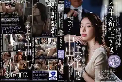 DLDSS-513